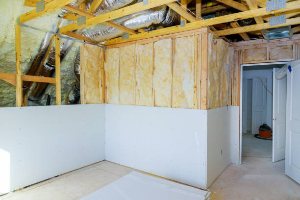 Best Insulation Removal  in Gasport, NY