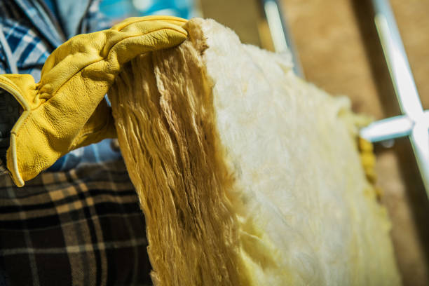 Best Insulation Inspection Services  in Gasport, NY
