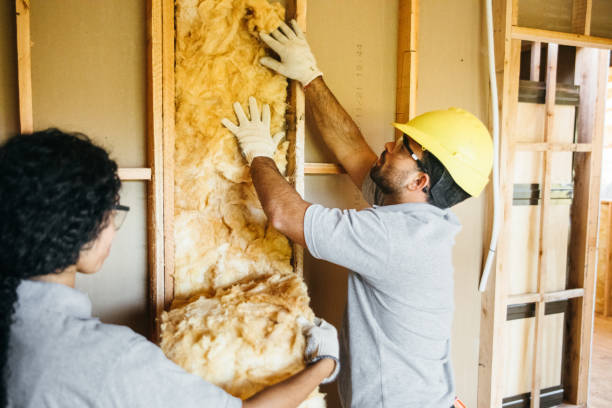 Insulation Contractors for Homes in Gasport, NY