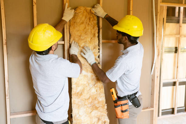 Best Insulation Replacement Services  in Gasport, NY
