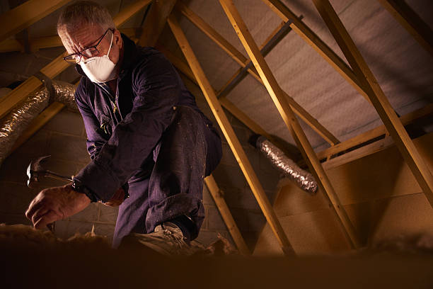 Best Residential Insulation Services  in Gasport, NY